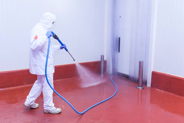 Best Oil Spill Cleanup  in South Hooksett, NH